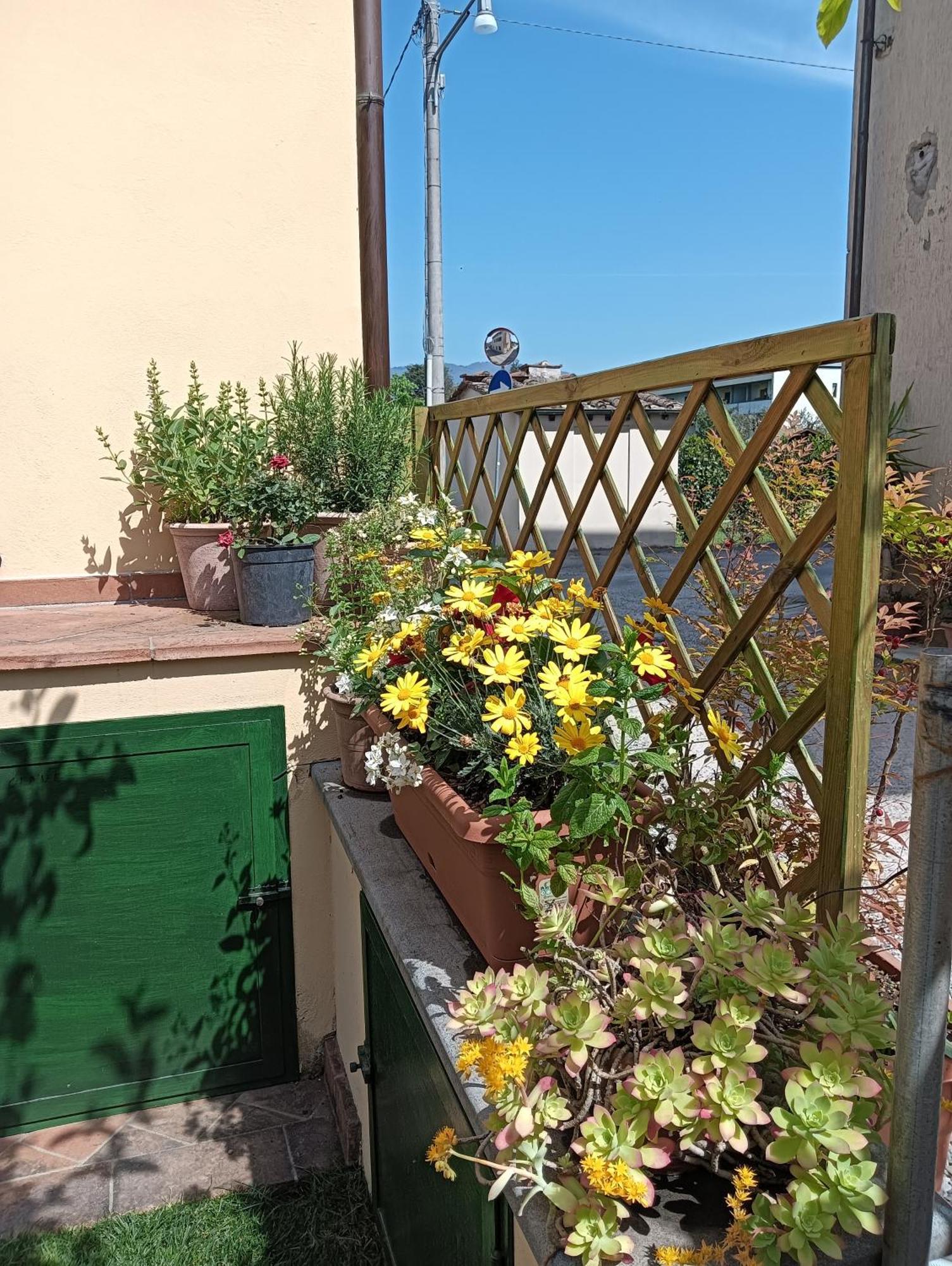 Casa Vacanze Rustico Di Corte Capannori Exteriér fotografie