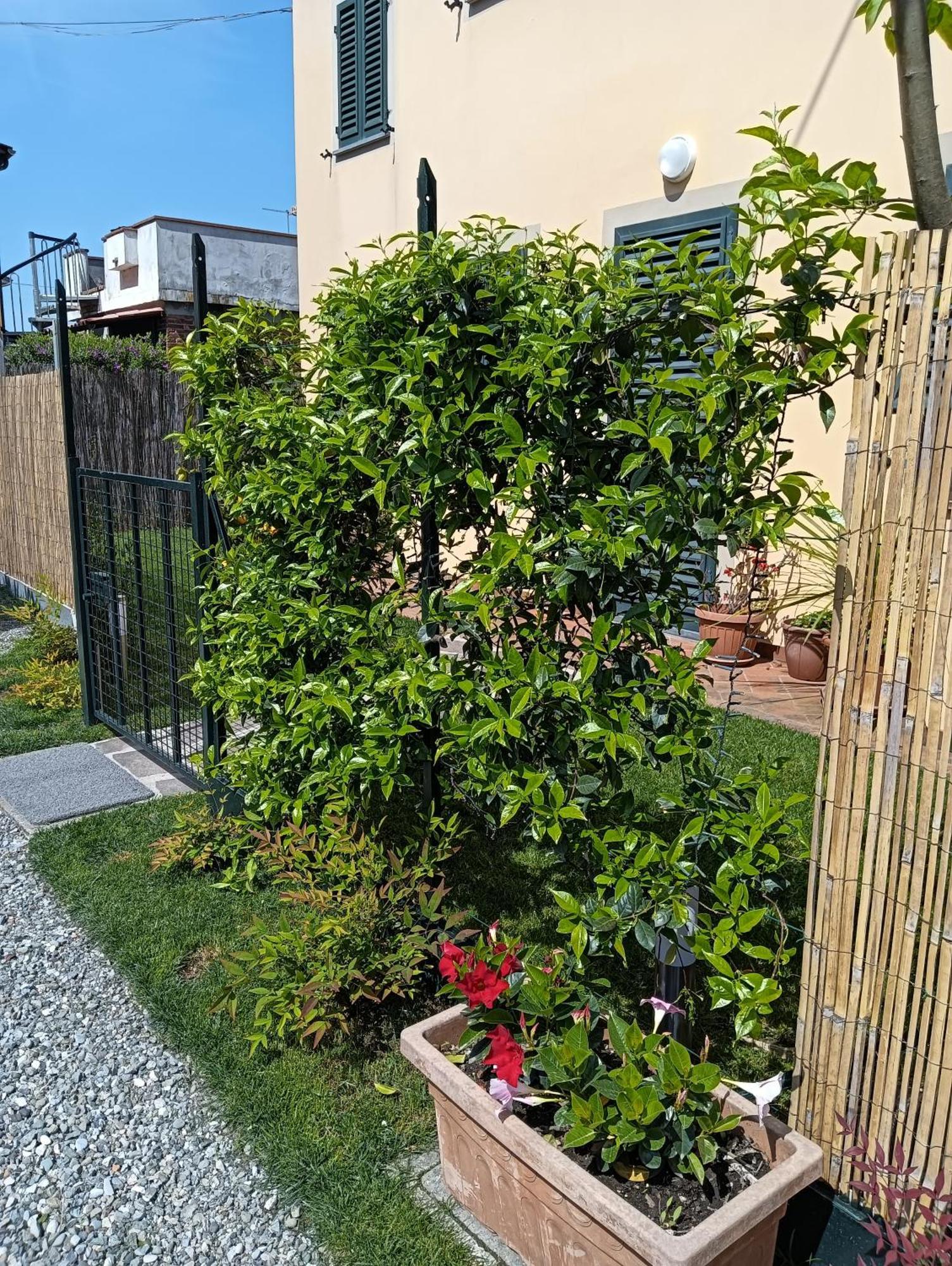 Casa Vacanze Rustico Di Corte Capannori Exteriér fotografie
