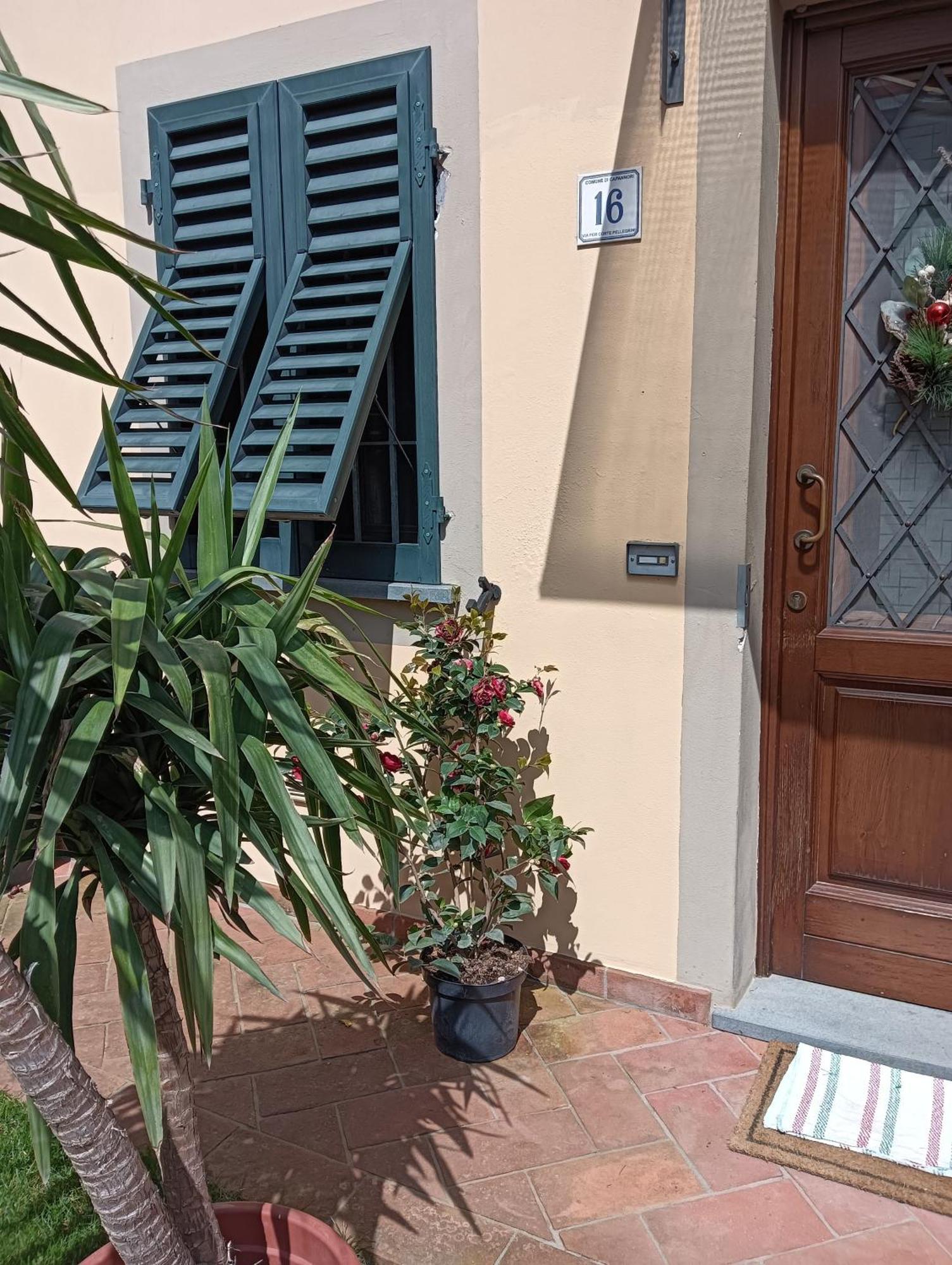 Casa Vacanze Rustico Di Corte Capannori Exteriér fotografie